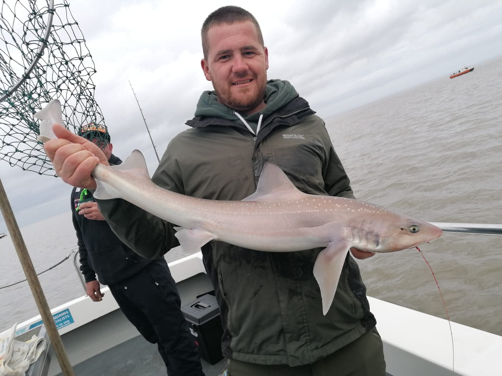 A clean smooth-hound being held for the camera before release