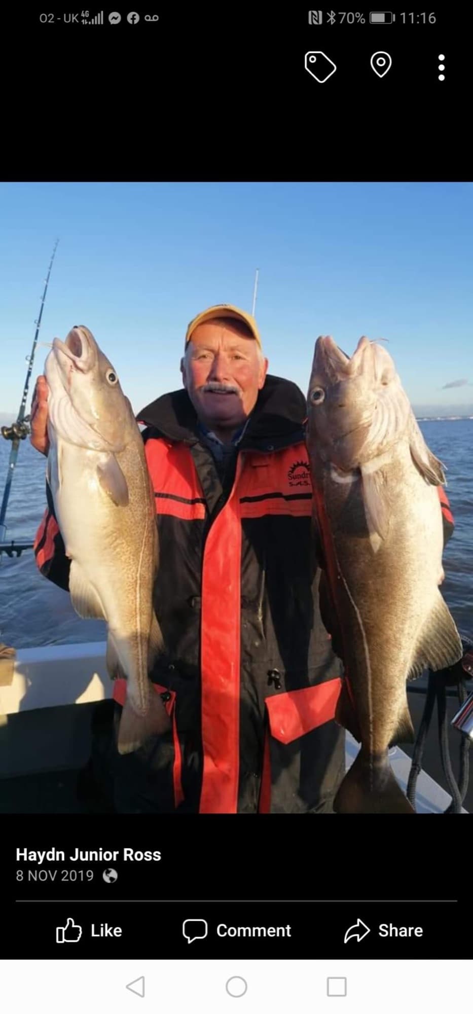 Cod — Gadus morhua